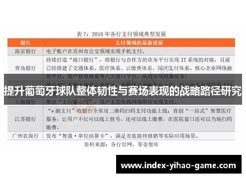 提升葡萄牙球队整体韧性与赛场表现的战略路径研究